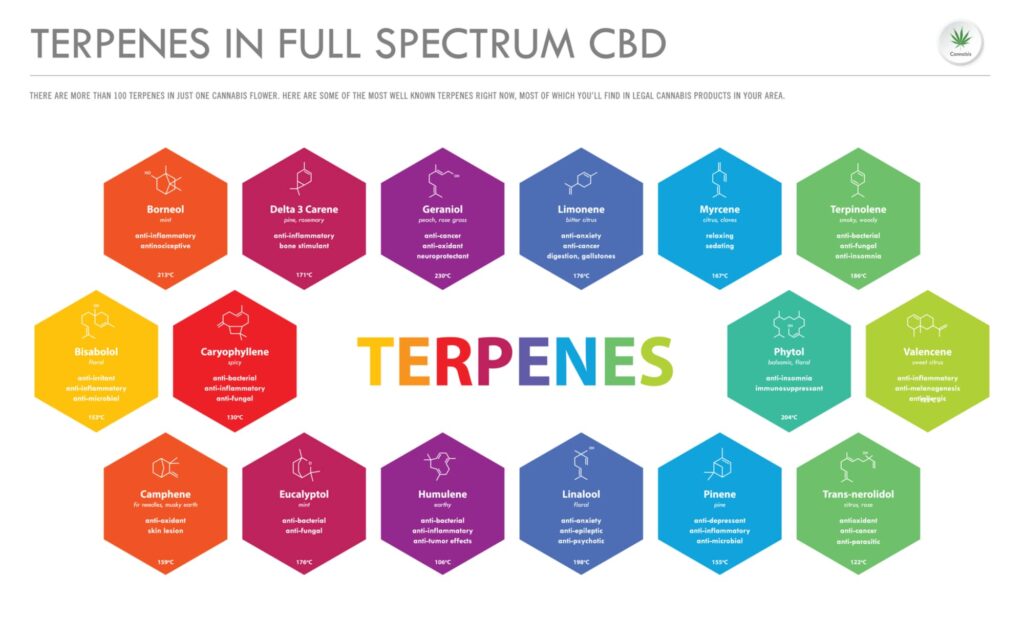 CBD Terpenes