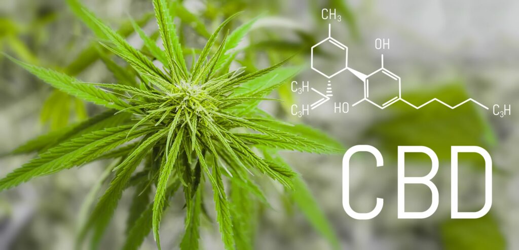 The Science Behind CBD